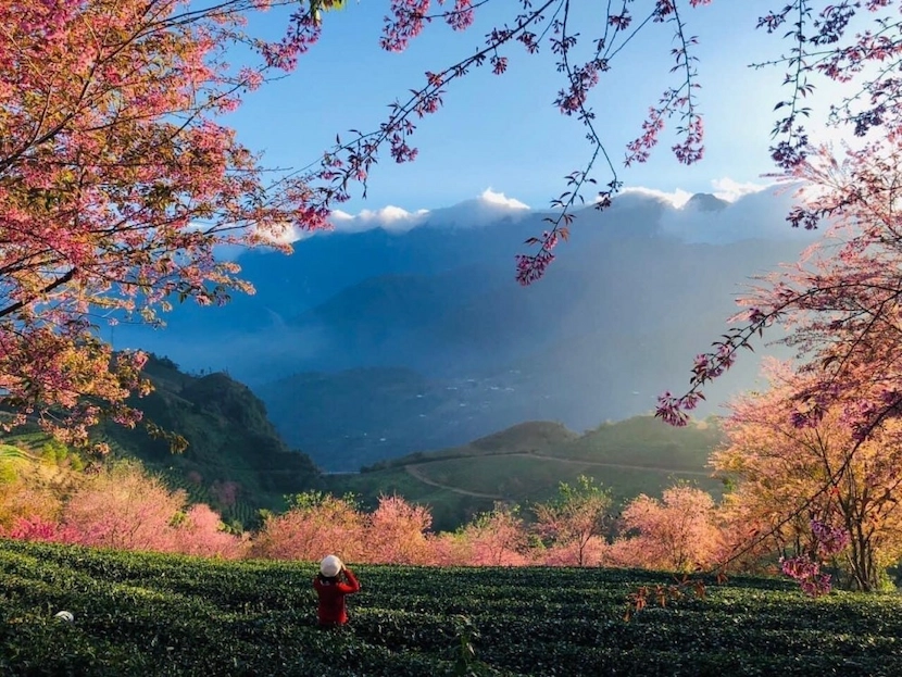 sapa, vietnam in spring