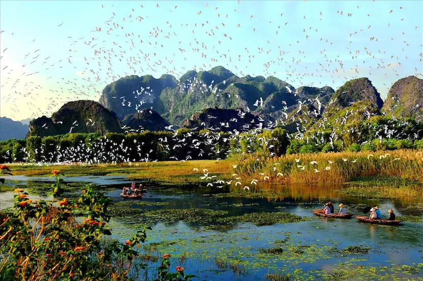 bird watching ninh binh