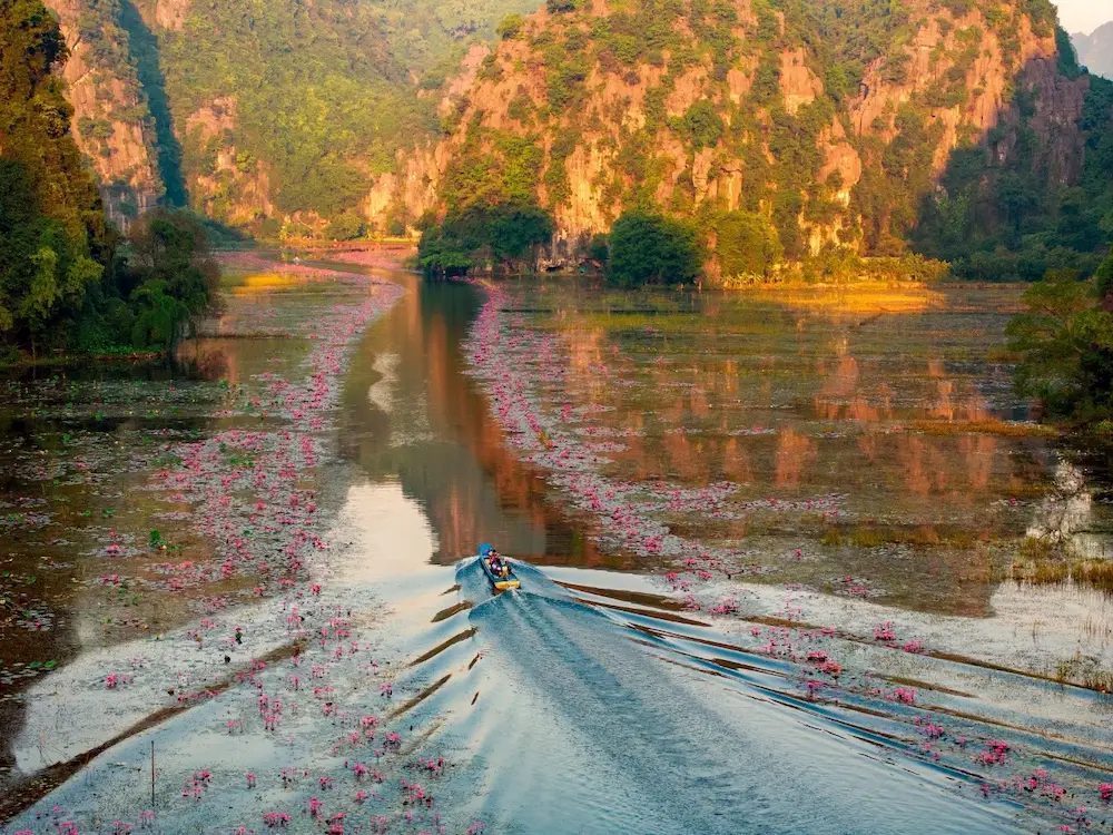 ngo dong river tam coc ninh binh december