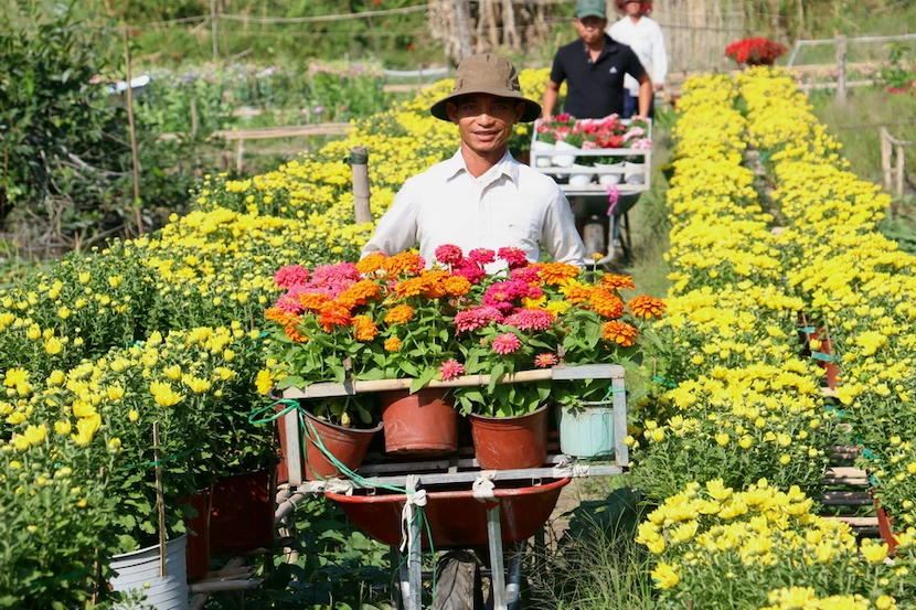 ba bo flower village