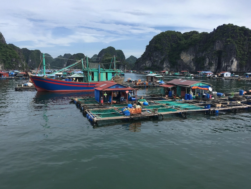 cai beo floating village