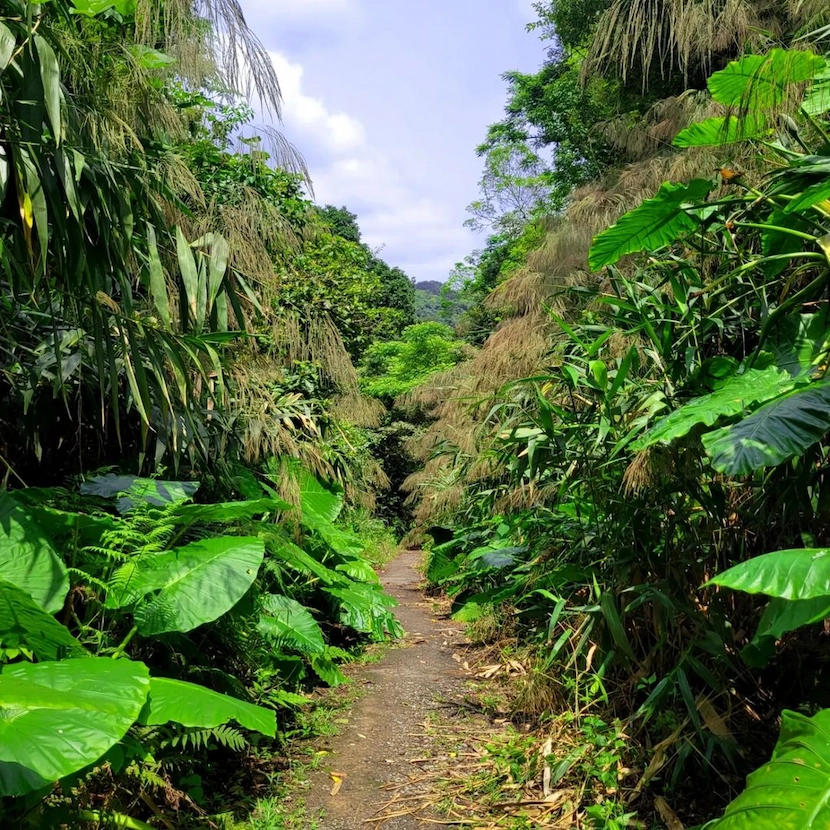 lan ha bay cat ba national park