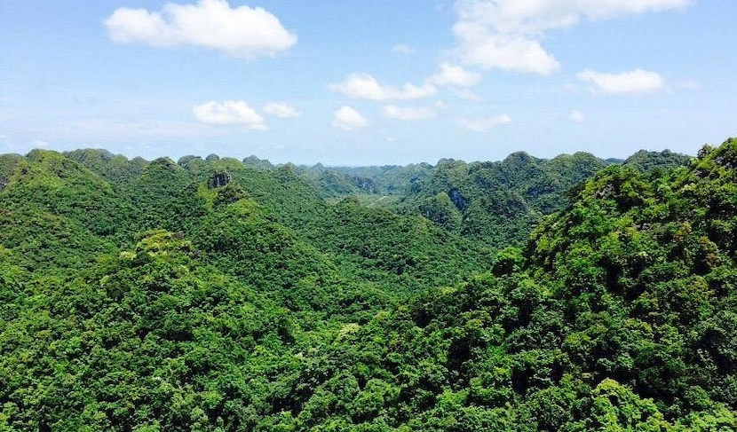 cat ba national park