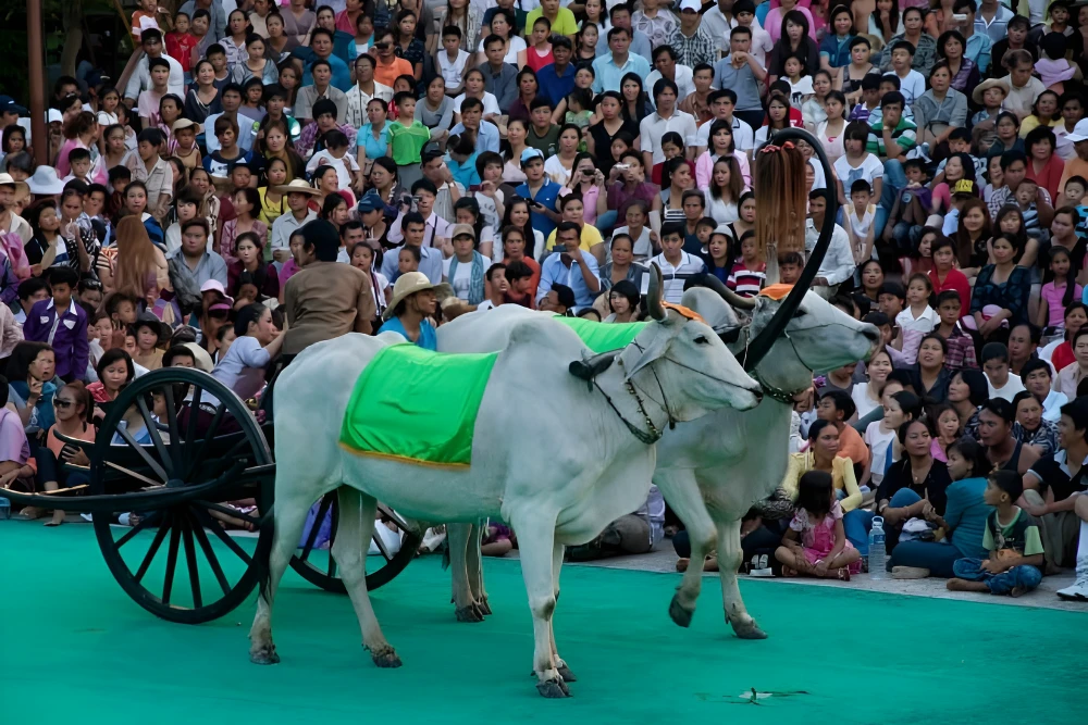 International tourists and locals enjoying playful water fights on the streets of Phnom Penh