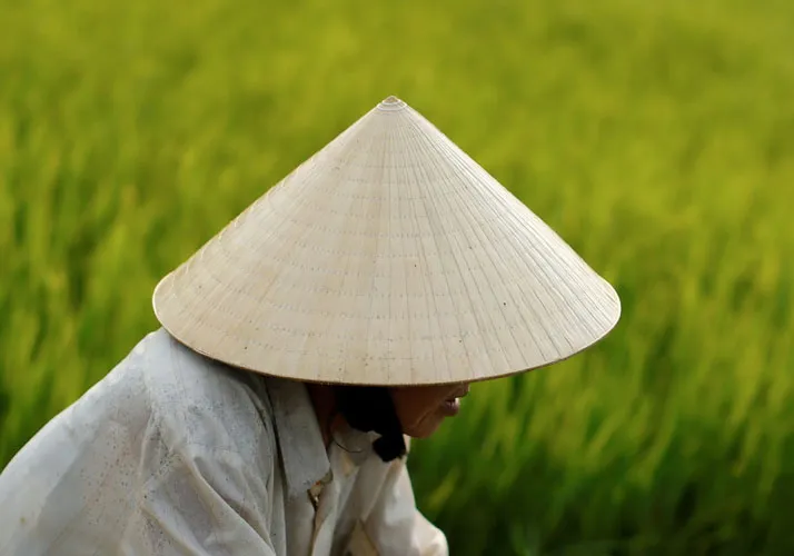 vietnam traditional clothes non la