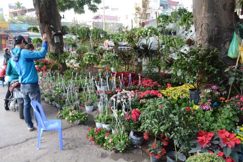 cho buoi market in hanoi