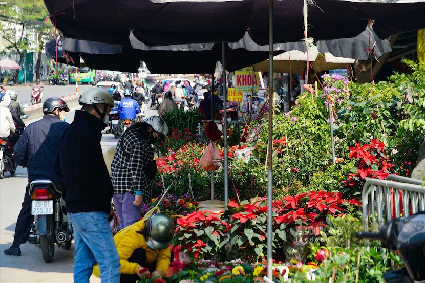 cho buoi hanoi market