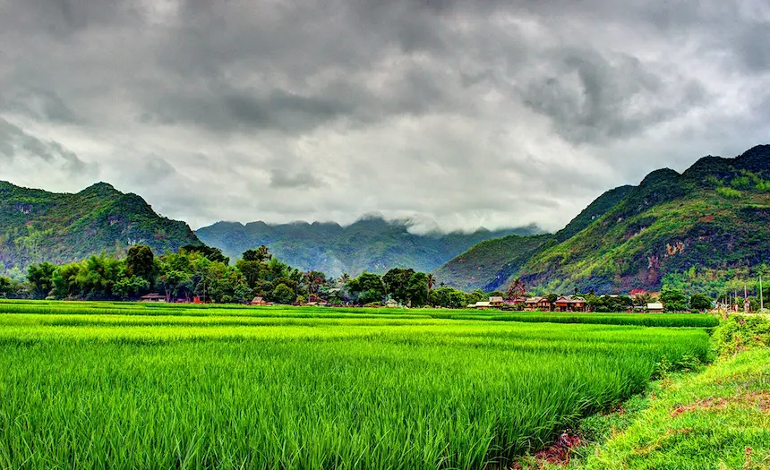 circuit-famille-vietnam