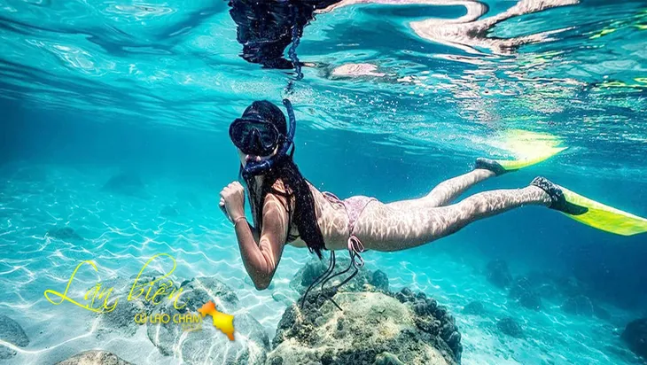 snorkeling et plongée à hoi an