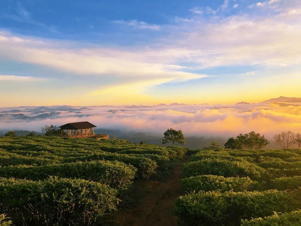 la splendeur naturelle de Da Lat