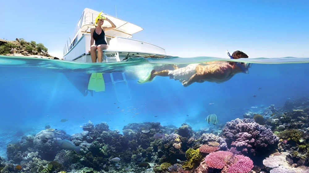 phu quoc snorkeling watching coral reefs
