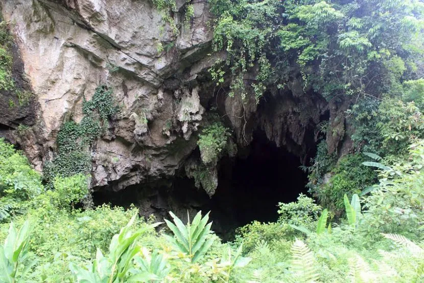 ham rong cave in bac ha vietnam