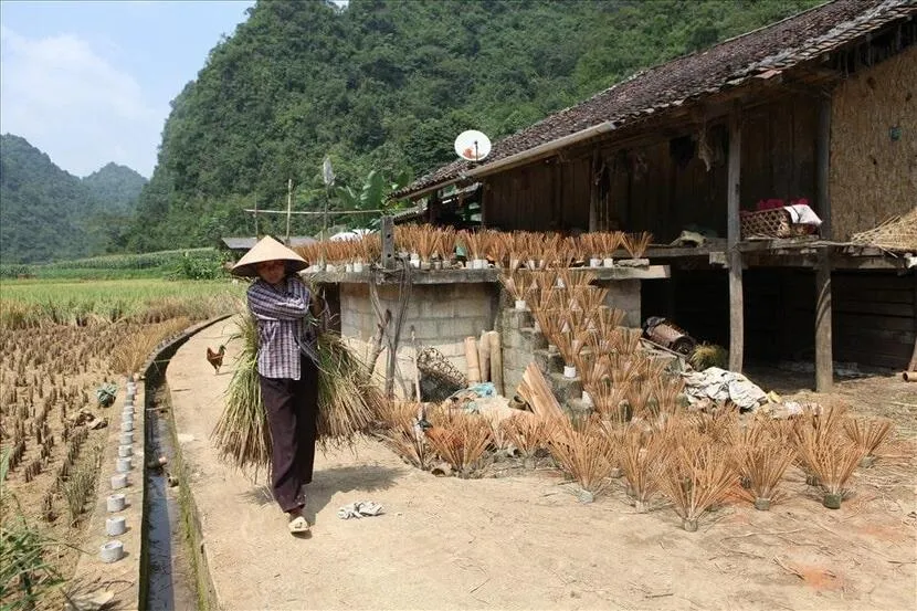 village des bâtonnets d'encens de Phia Thap