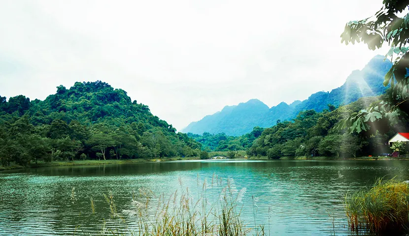 cuc phuong national park in ninh binh