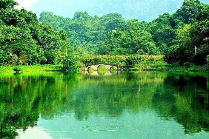 lago parco nazionale cuc phuong\