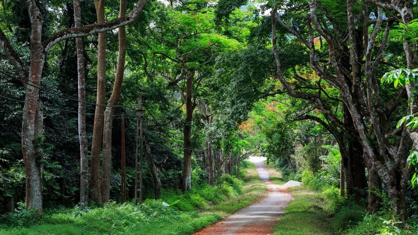 Cuc Phuong national park