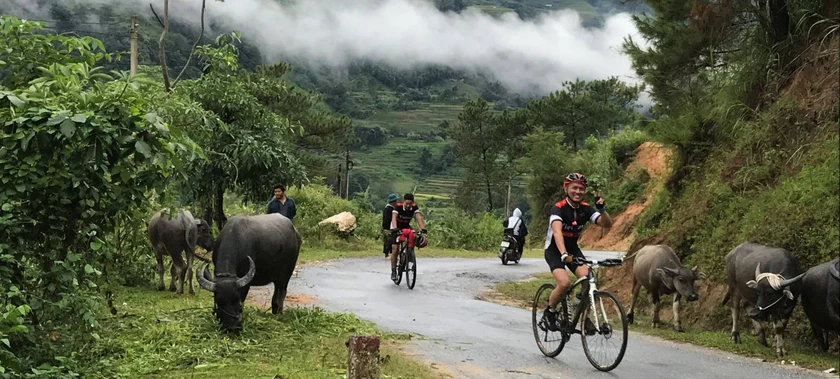 cycling