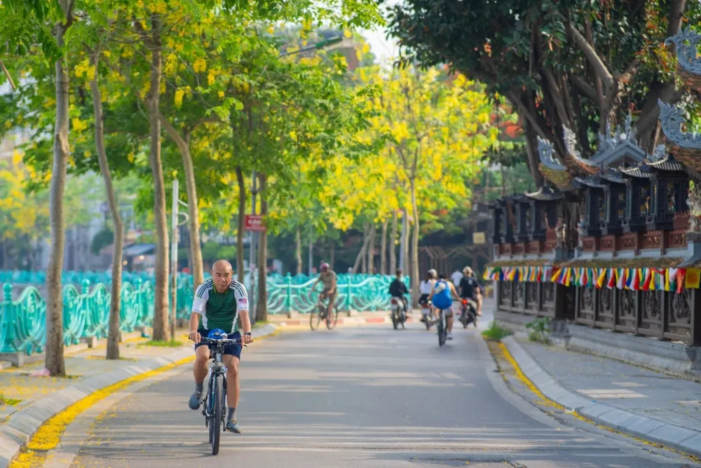Cyclist riding along the edge of West Lake under leafy trees