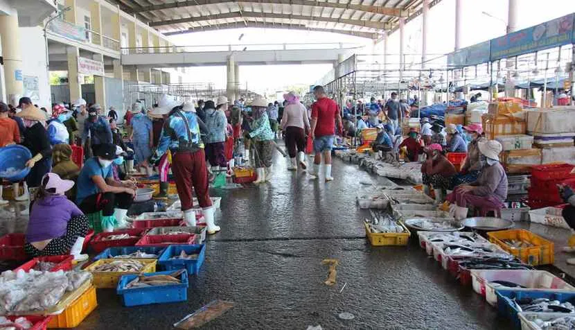 tho quang seafood market danang
