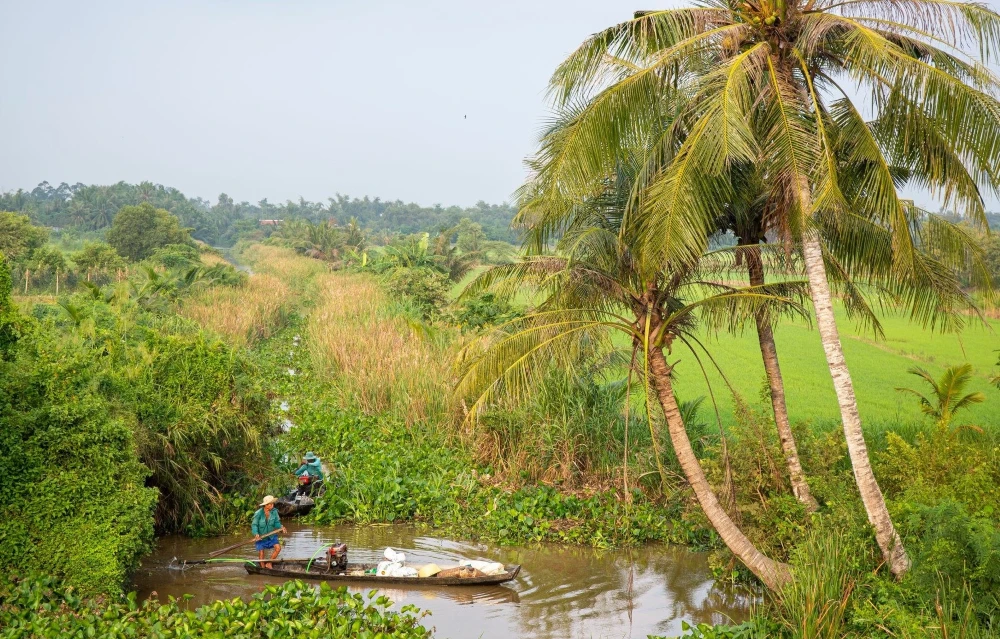 ammirare il paesaggio nei canali di Ben Tre 
