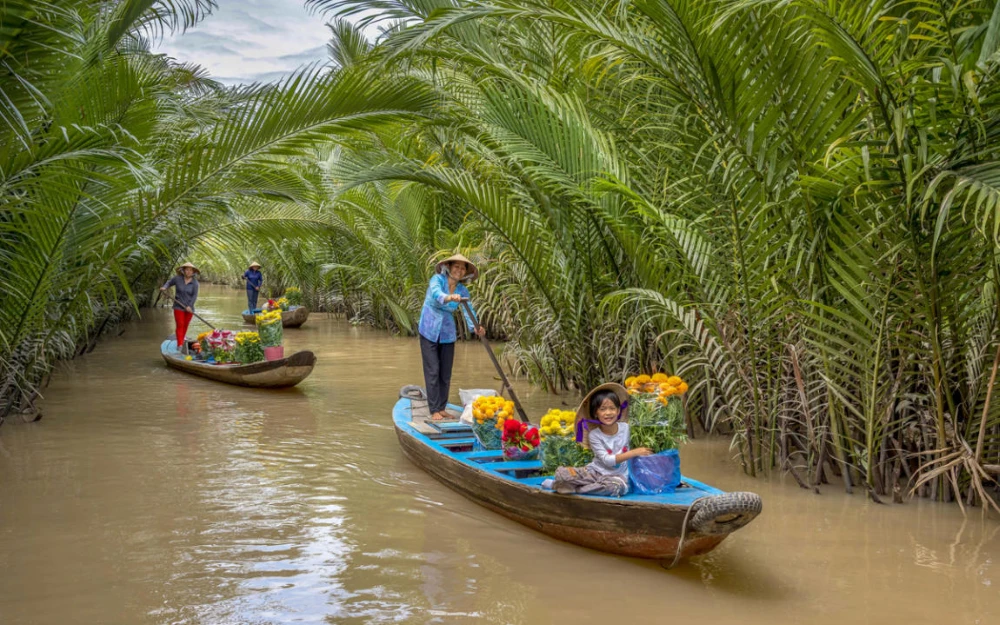 Boat trip through the coconut forest in the Mekong Delta