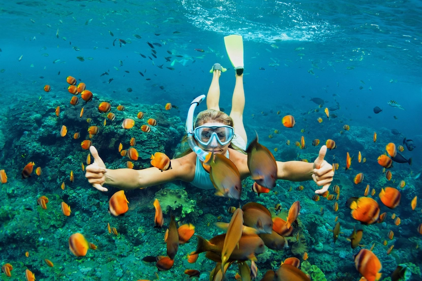 diving in vietnam cu lao cham