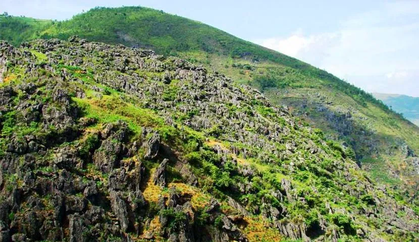80% of the area of the Dong Van Karst plateau is limestone.