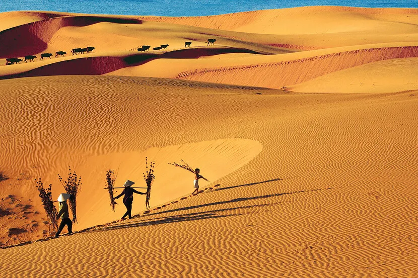 mui ne sud du vietnam