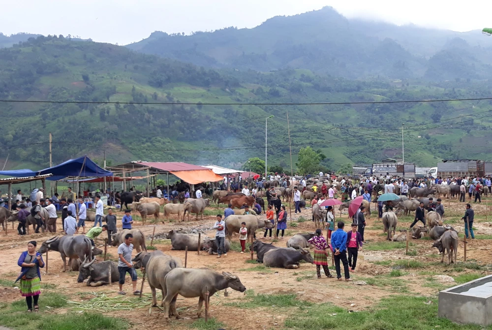 marché de Bac Ha, Lao Cai