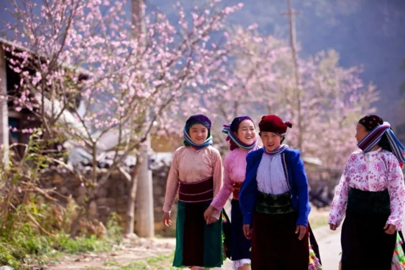 spring in hmong village sapa