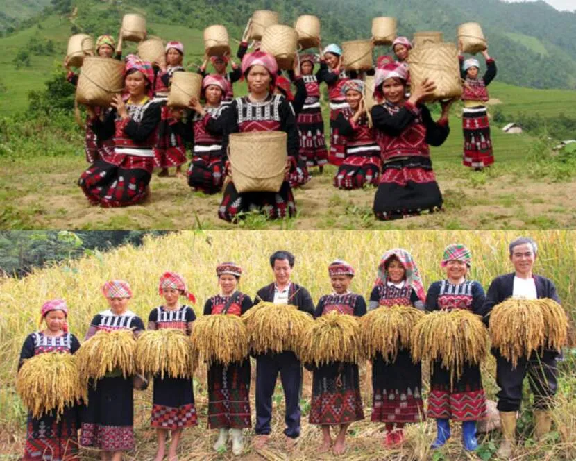ethnic minorities in sapa new rice offering
