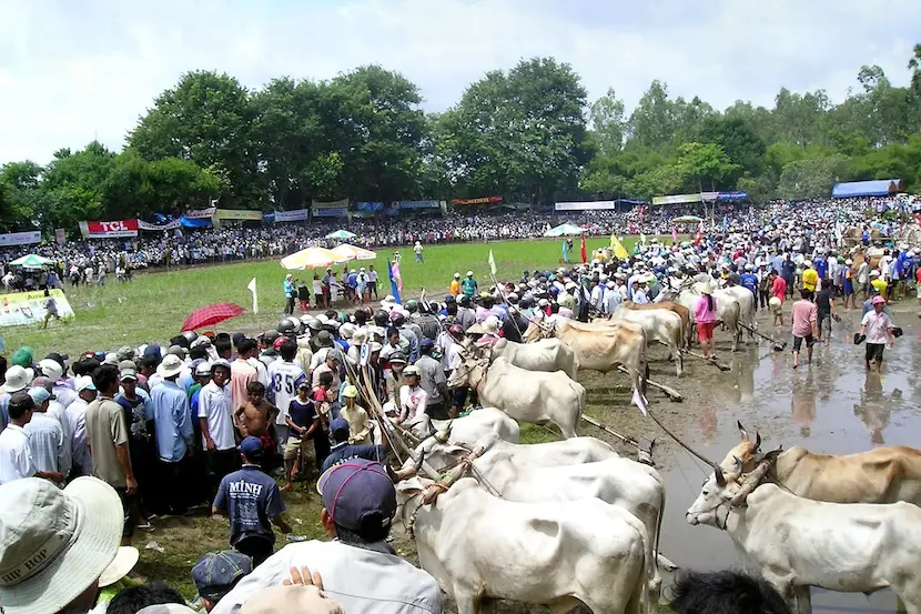 fete au vietnam