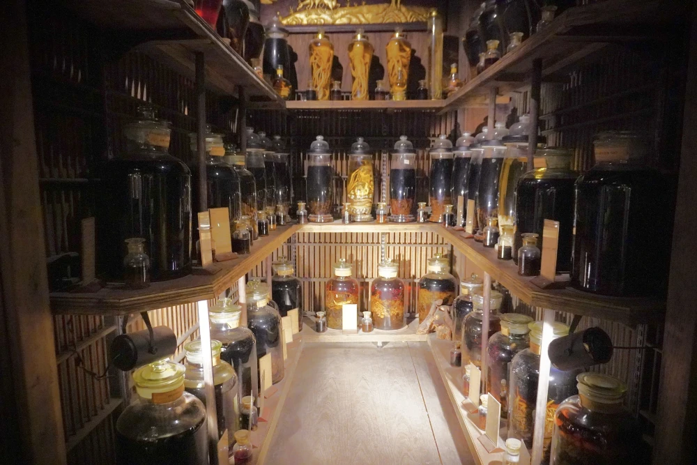 Display of traditional Vietnamese medicinal alcohols in glass bottles at FITO Museum