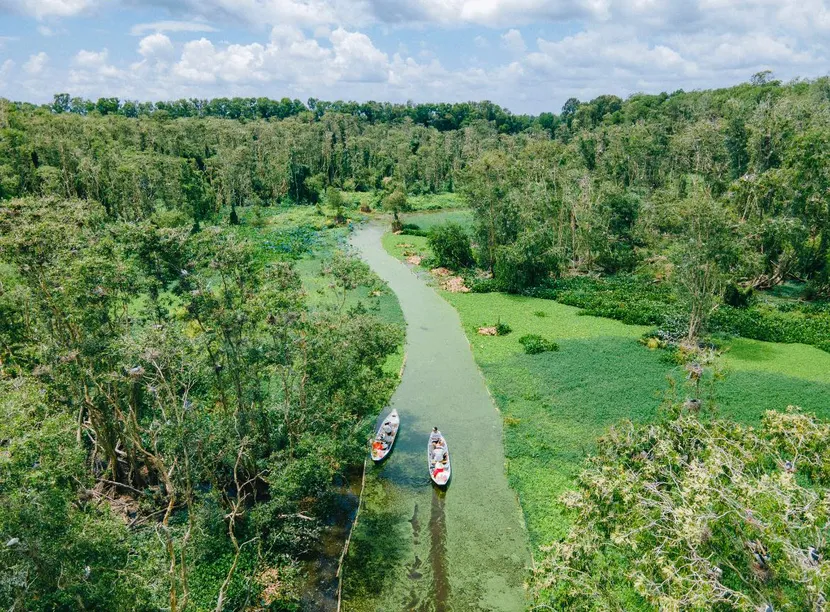 tra su mekong delta