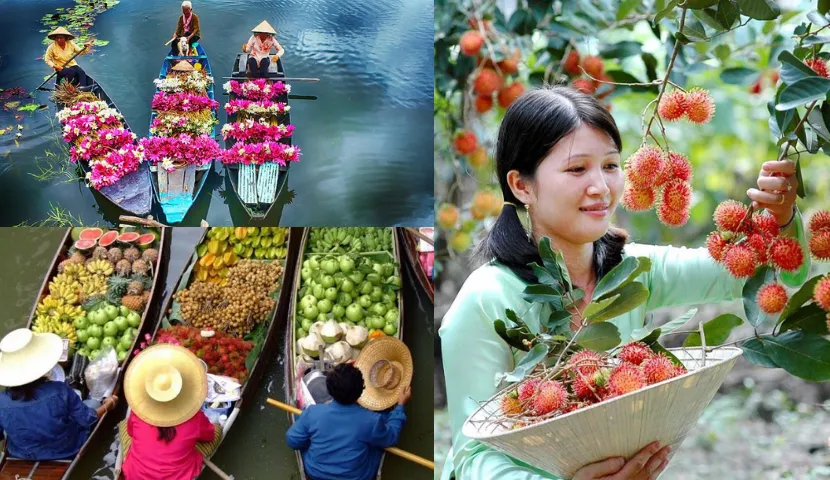 beaute mekong delta