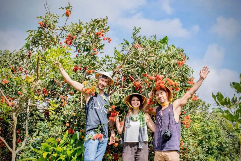mekong delta tour orchard