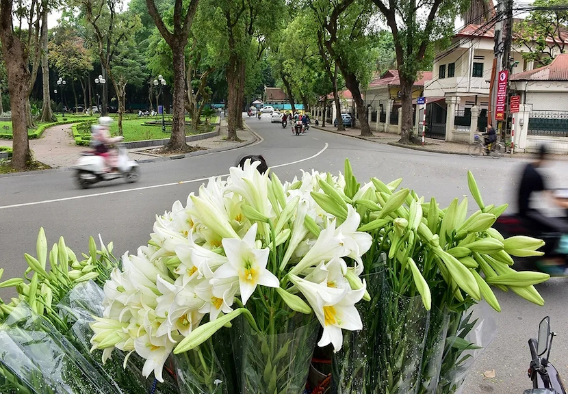 hanoi en avril