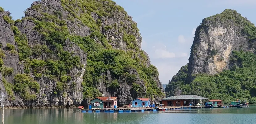 halong bay cruise vung vieng fishing village