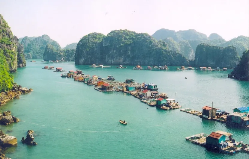 halong bay tour cua van fishing village