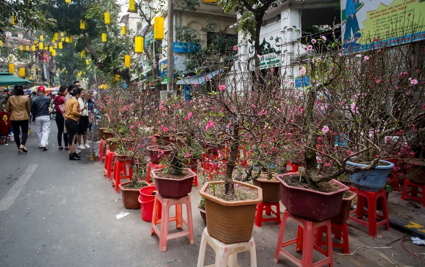 market hanoi hang luoc