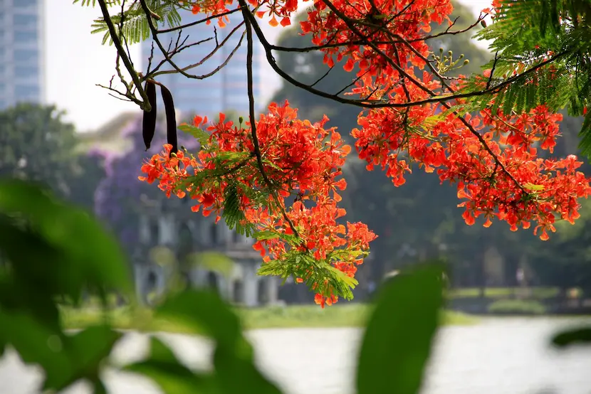 hanoi en ete quand visiter hanoi