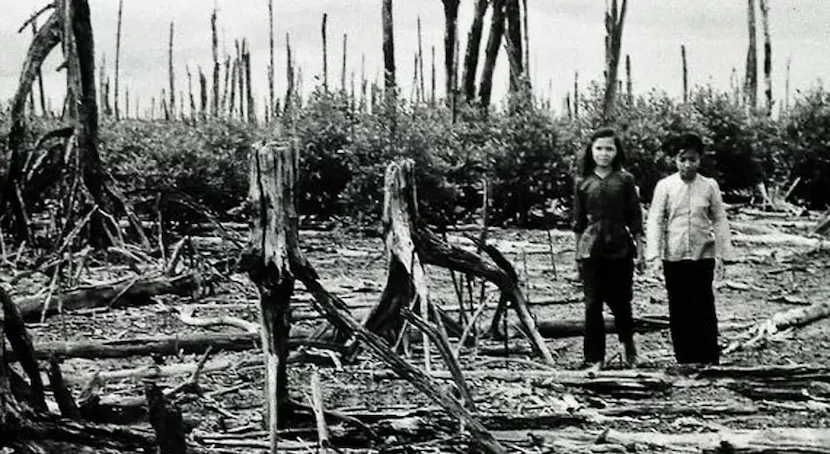 Ho Chi Minh City War Remnants Museum Thematic area agent orange