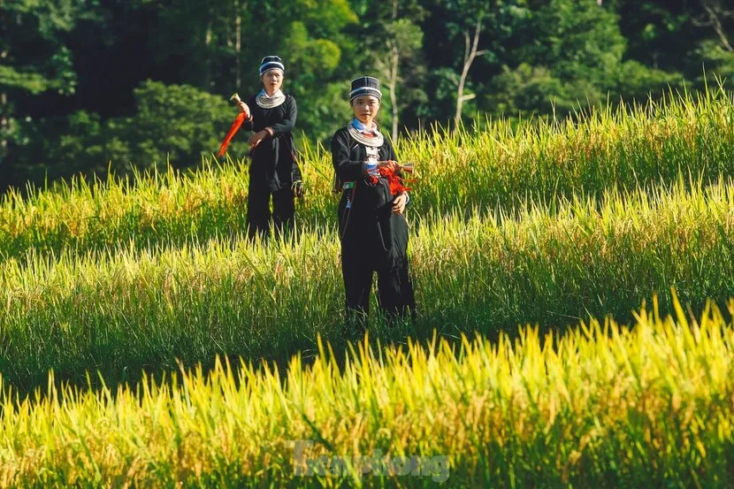 north east vietnam people