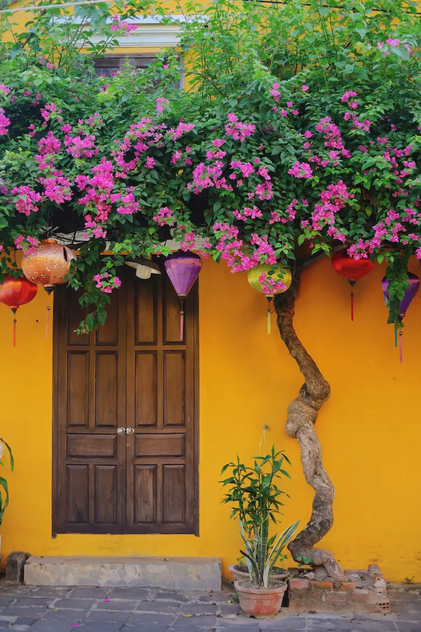hoi an vietnam
