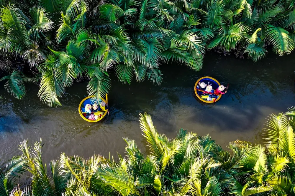 View of the Nipa palm forest along the river at Cam Thanh Coconut Village