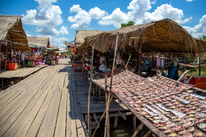 meilleurs endroits à visiter au cambodge kratie