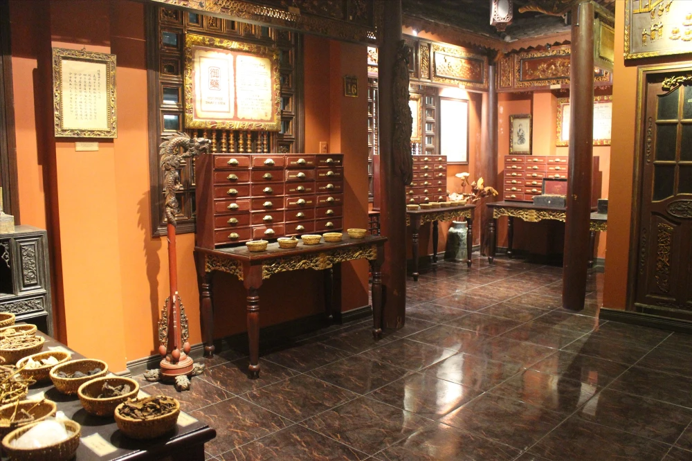 Reconstructed Royal Institute of Medicine exhibit inside FITO Museum, Ho Chi Minh City