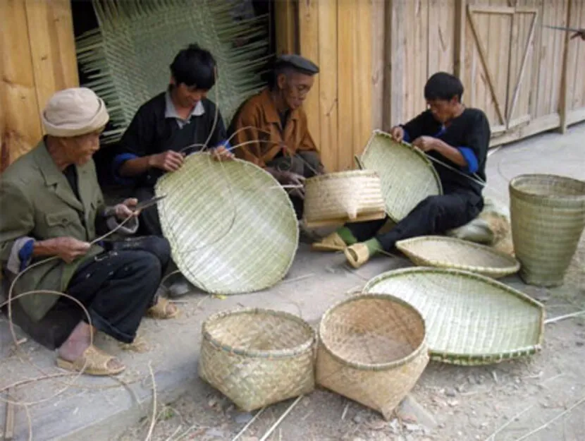 la pan tan mu cang chai maglia di bambu