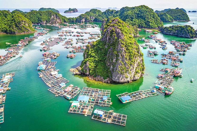 lan ha bay floating village