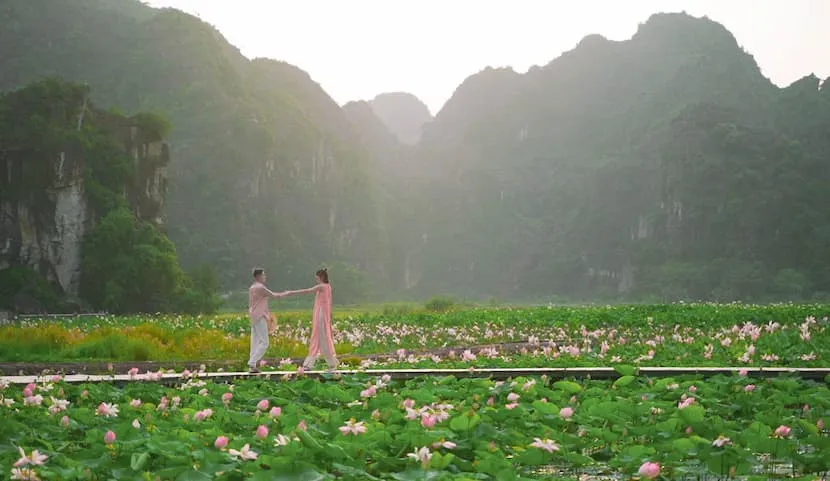 lotus a ninh binh au vietnam